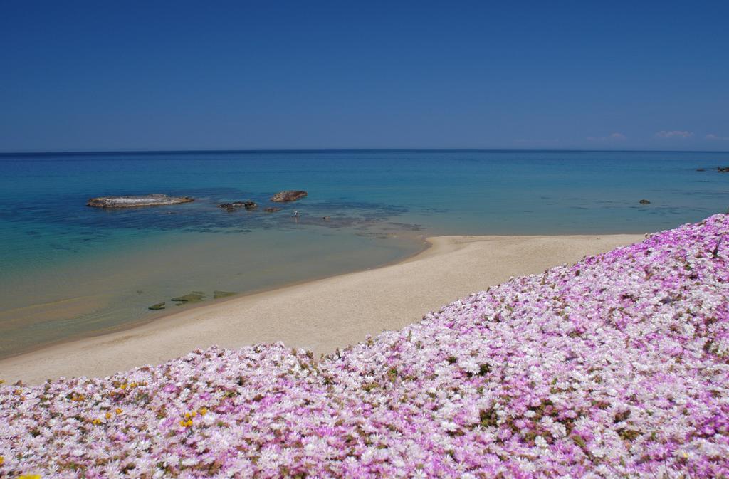 La Rosa Del Mare Apartment Castelsardo Bagian luar foto