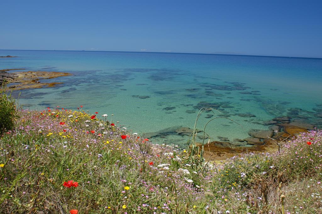 La Rosa Del Mare Apartment Castelsardo Bagian luar foto