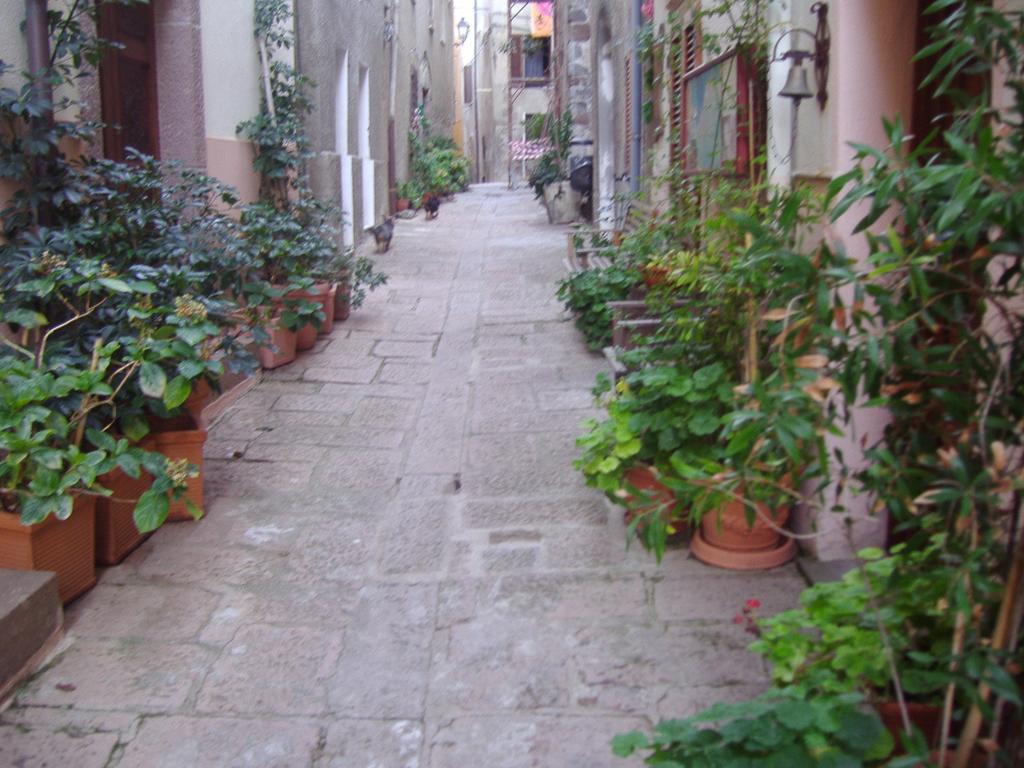 La Rosa Del Mare Apartment Castelsardo Bagian luar foto